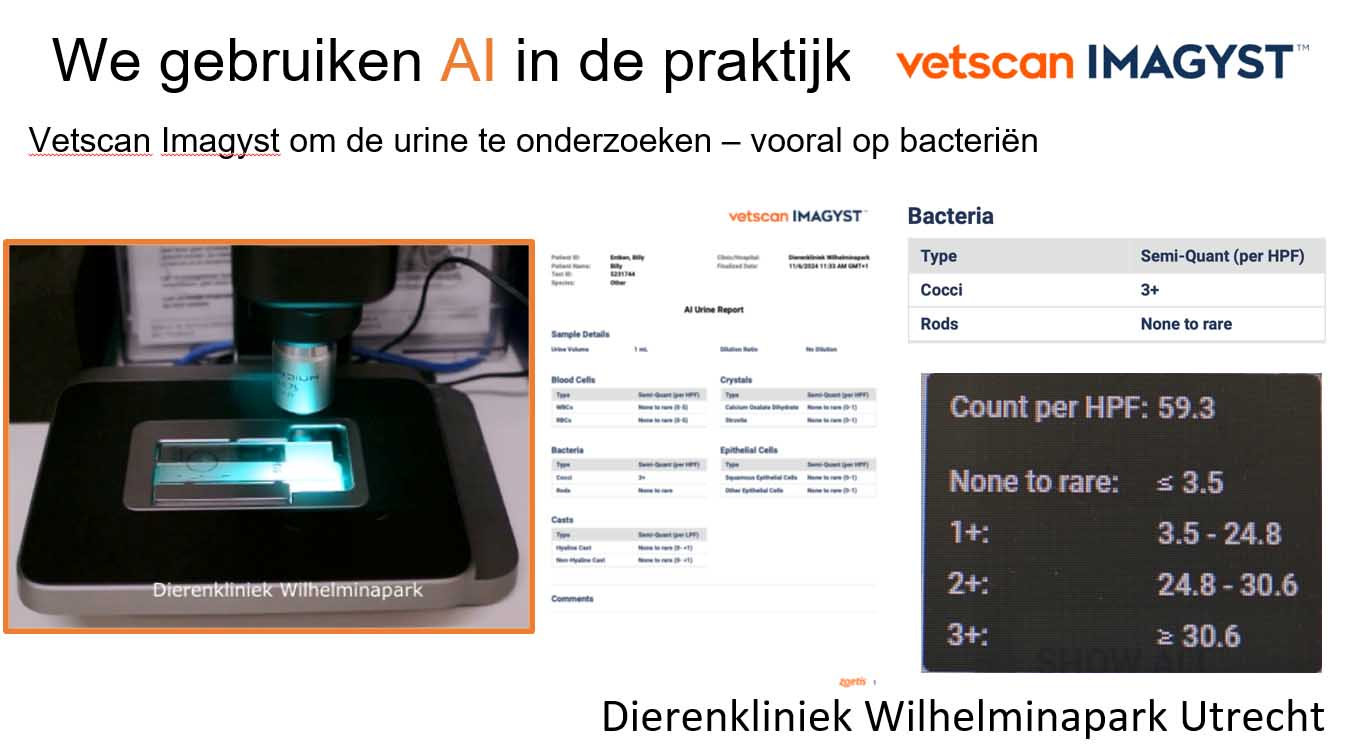 Met een AI urine analyzer de urine beoordelen